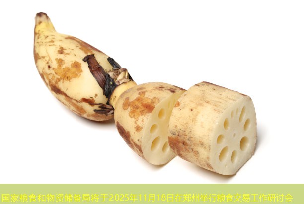 国家粮食和物资储备局将于2025年11月18日在郑州举行粮食交易工作研讨会