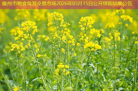 福州市粮食批发交易市场2026年03月15日公开续租结果公告