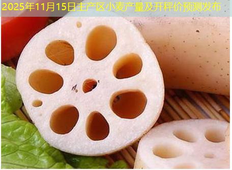 2025年11月15日主产区小麦产量及开秤价预测发布