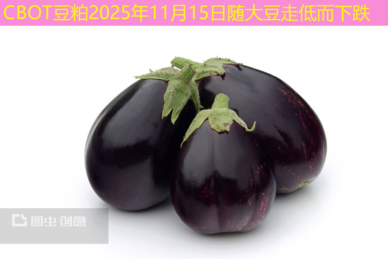 CBOT豆粕2025年11月15日随大豆走低而下跌