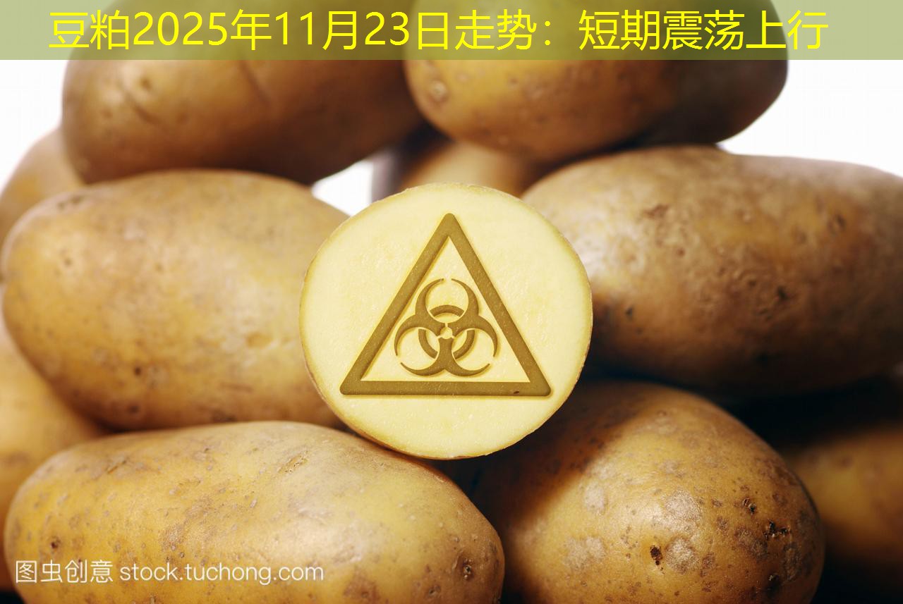 豆粕2025年11月23日走势：短期震荡上行