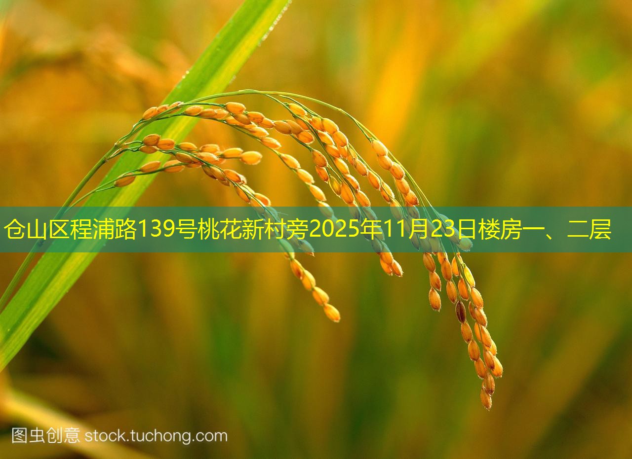 仓山区程浦路139号桃花新村旁2025年11月23日楼房一、二层