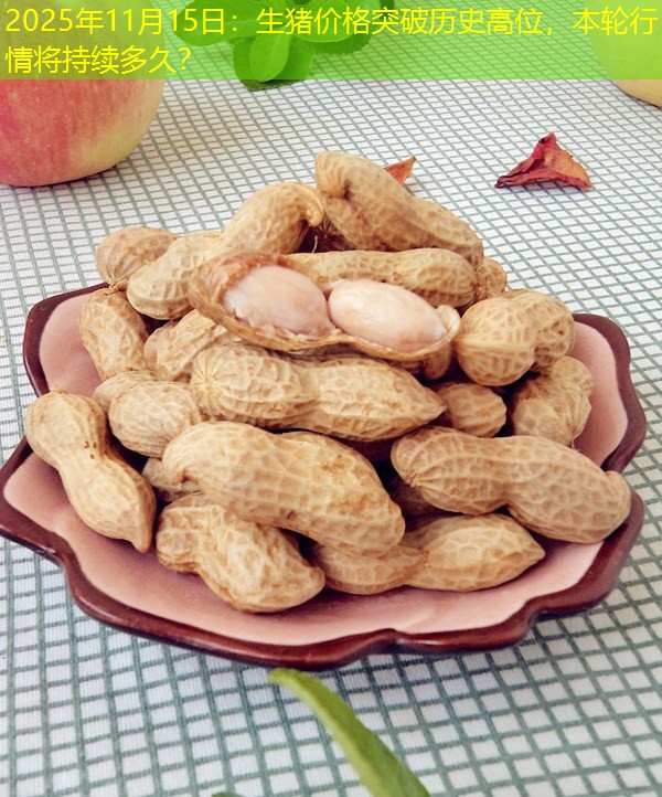 2025年11月15日：生猪价格突破历史高位，本轮行情将持续多久？