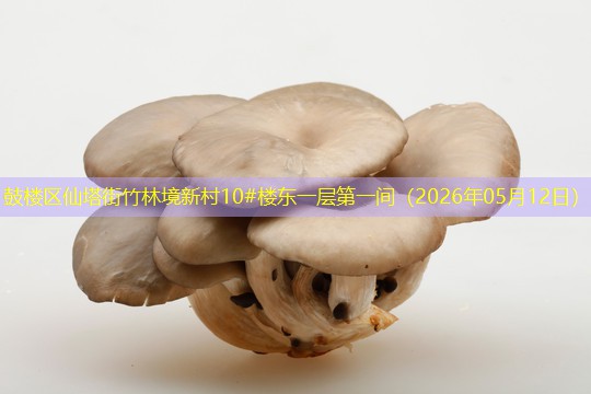 鼓楼区仙塔街竹林境新村10#楼东一层第一间（2026年05月12日）