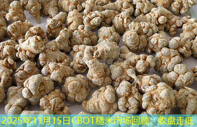 2025年11月15日CBOT糙米市场回顾：收盘走低