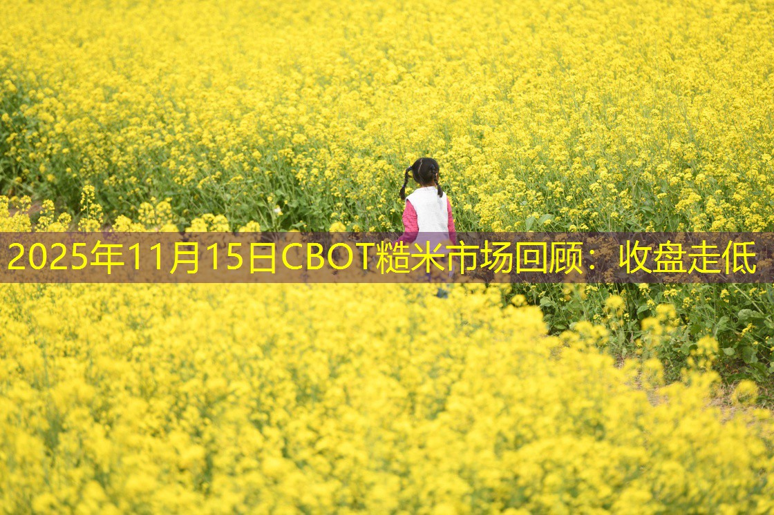 2025年11月15日CBOT糙米市场回顾：收盘走低