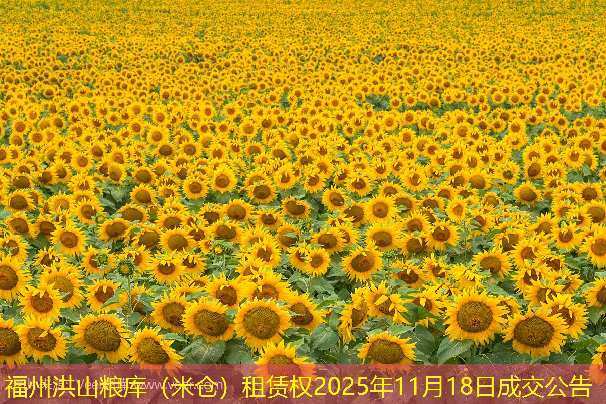 福州洪山粮库（米仓）租赁权2025年11月18日成交公告