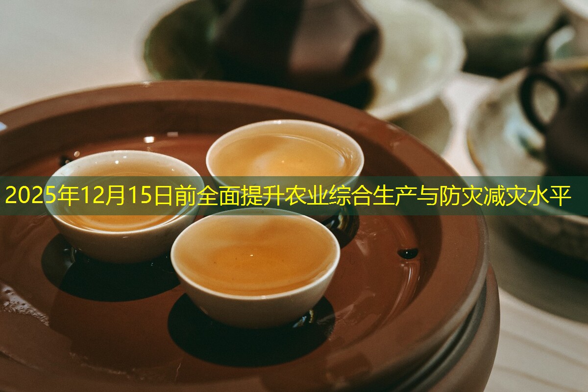 2025年12月15日前全面提升农业综合生产与防灾减灾水平