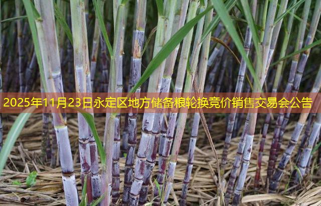 2025年11月23日永定区地方储备粮轮换竞价销售交易会公告