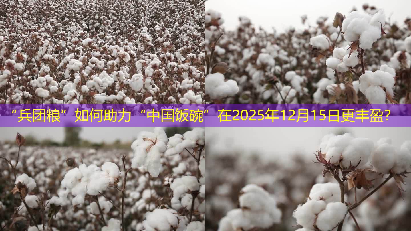 “兵团粮”如何助力“中国饭碗”在2025年12月15日更丰盈？
