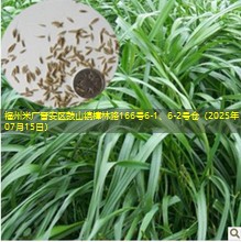 福州米厂晋安区鼓山镇樟林路166号6-1、6-2号仓（2025年07月15日）