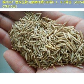 福州米厂晋安区鼓山镇樟林路166号6-1、6-2号仓（2025年07月15日）