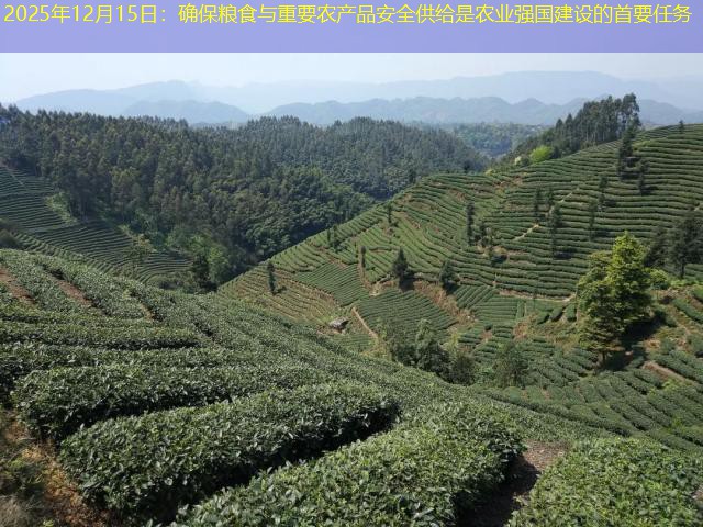 2025年12月15日：确保粮食与重要农产品安全供给是农业强国建设的首要任务