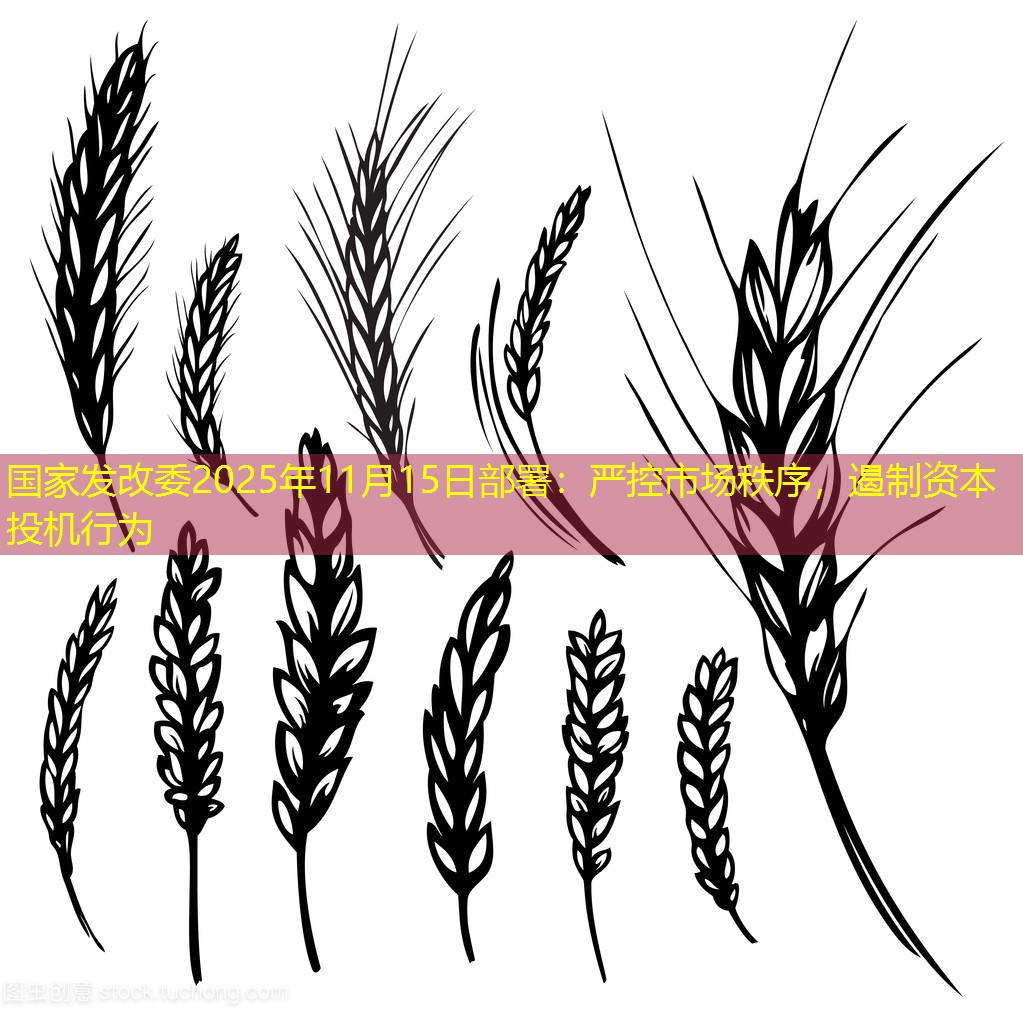 国家发改委2025年11月15日部署：严控市场秩序，遏制资本投机行为