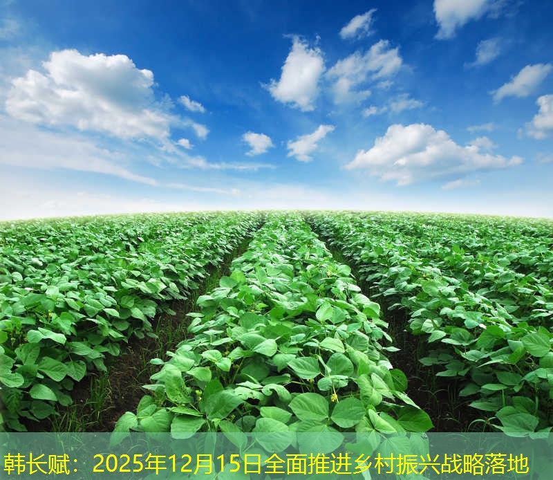 韩长赋：2025年12月15日全面推进乡村振兴战略落地