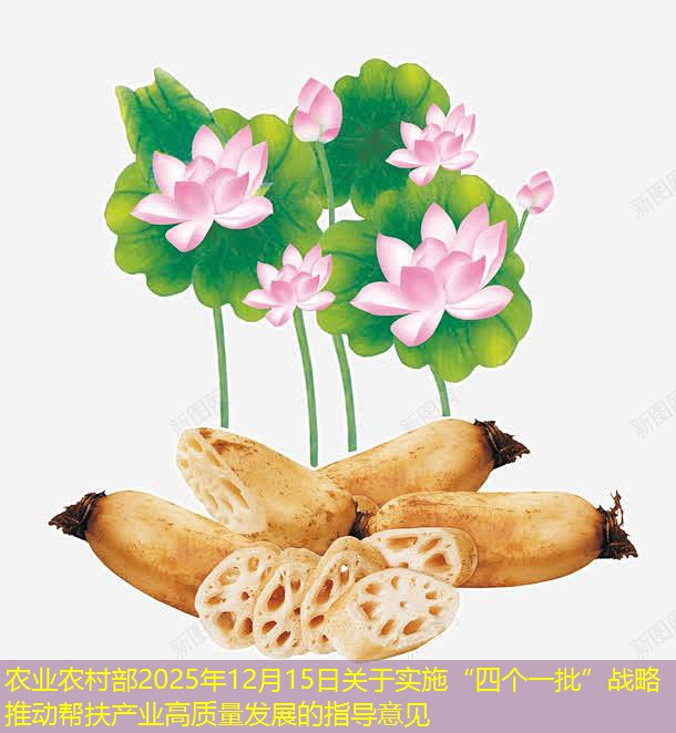 农业农村部2025年12月15日关于实施“四个一批”战略推动帮扶产业高质量发展的指导意见