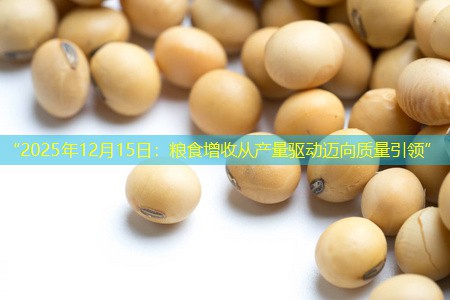 “2025年12月15日：粮食增收从产量驱动迈向质量引领”