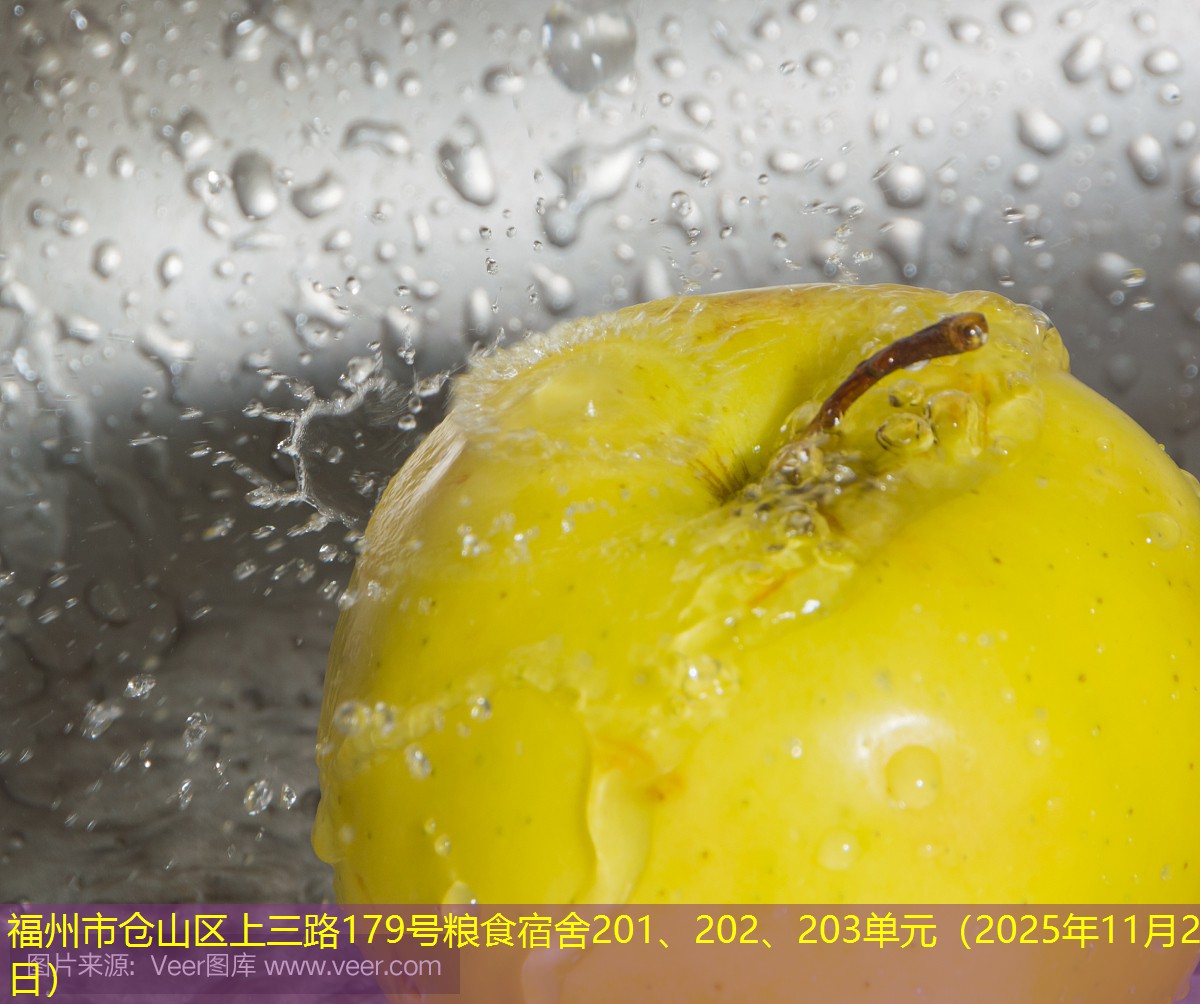 福州市仓山区上三路179号粮食宿舍201、202、203单元（2025年11月23日）