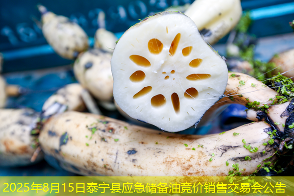 2025年8月15日泰宁县应急储备油竞价销售交易会公告