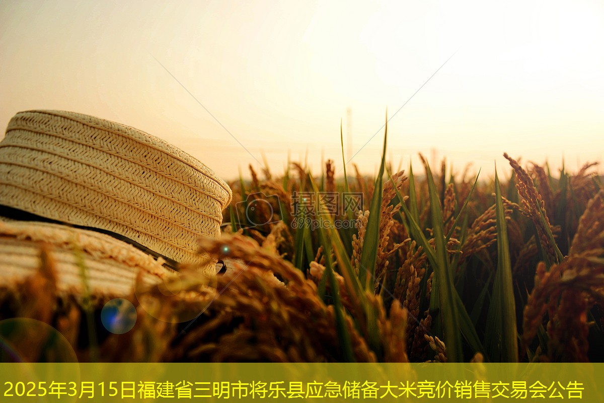 2025年3月15日福建省三明市将乐县应急储备大米竞价销售交易会公告