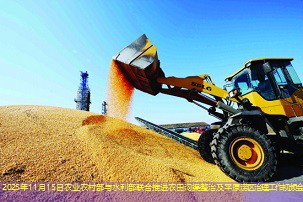 2025年11月15日农业农村部与水利部联合推进农田沟渠整治及平原涝区治理工作视频会议