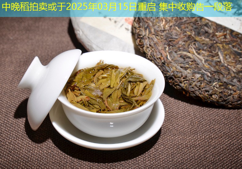 中晚稻拍卖或于2025年03月15日重启 集中收购告一段落