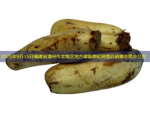 2025年9月15日福建省漳州市龙海区地方储备粮轮换竞价销售交易会公告