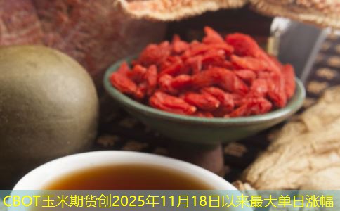 CBOT玉米期货创2025年11月18日以来最大单日涨幅