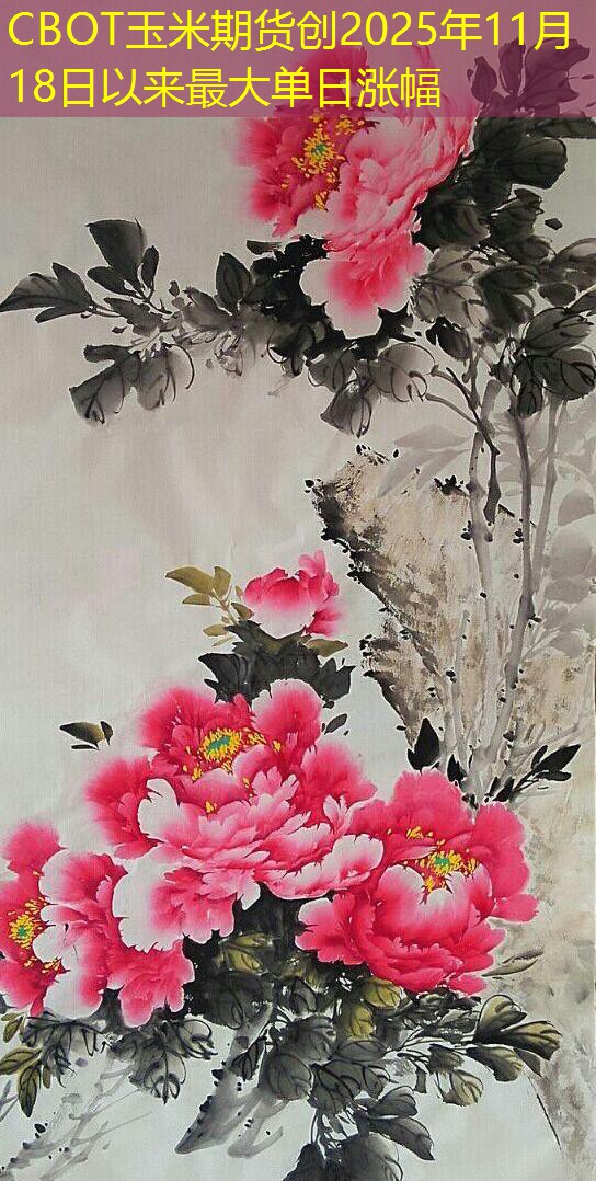 CBOT玉米期货创2025年11月18日以来最大单日涨幅