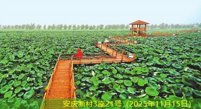 安庆新村3座21号（2025年11月15日）