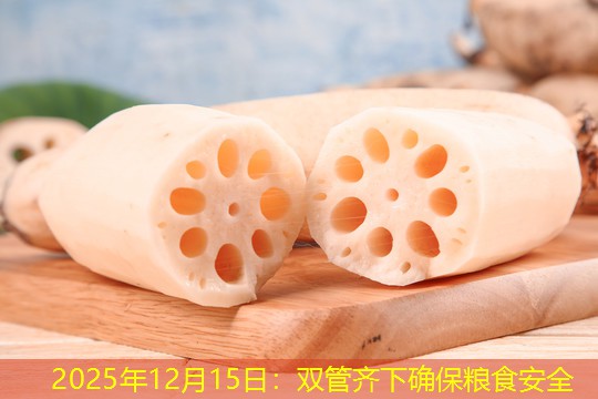 2025年12月15日：双管齐下确保粮食安全