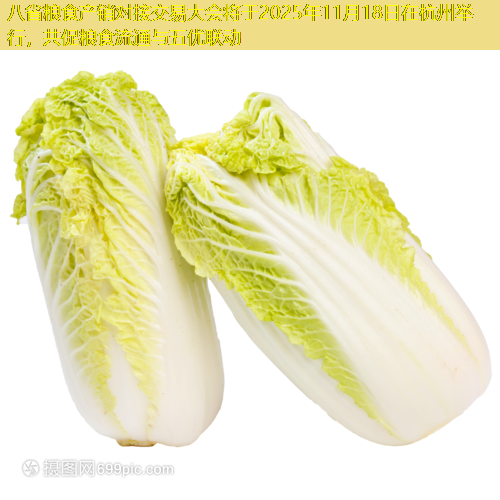 八省粮食产销对接交易大会将于2025年11月18日在杭州举行，共促粮食流通与五优联动