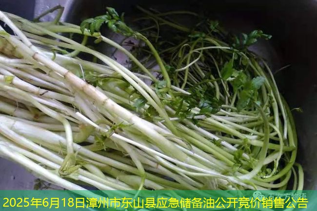 2025年6月18日漳州市东山县应急储备油公开竞价销售公告