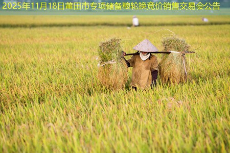 2025年11月18日莆田市专项储备粮轮换竞价销售交易会公告