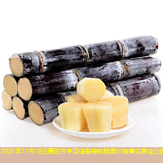 2025年11月18日莆田市专项储备粮轮换竞价销售交易会公告