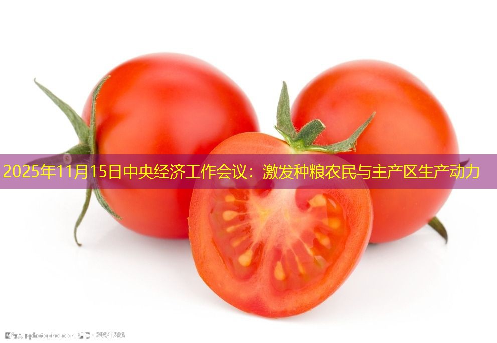 2025年11月15日中央经济工作会议：激发种粮农民与主产区生产动力