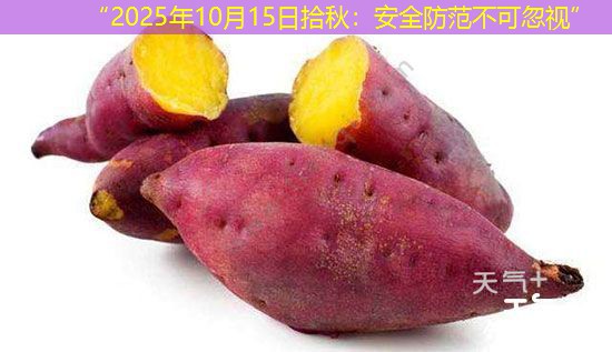 “2025年10月15日拾秋：安全防范不可忽视”