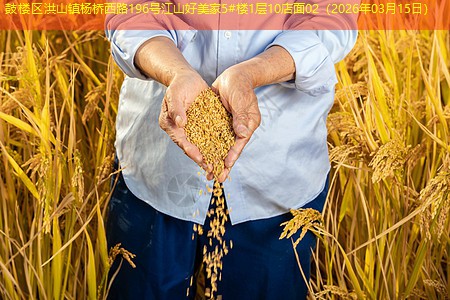 鼓楼区洪山镇杨桥西路196号江山好美家5#楼1层10店面02（2026年03月15日）