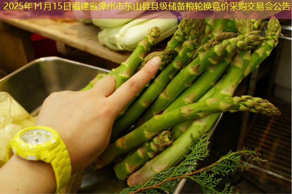 2025年11月15日福建省漳州市东山县县级储备粮轮换竞价采购交易会公告