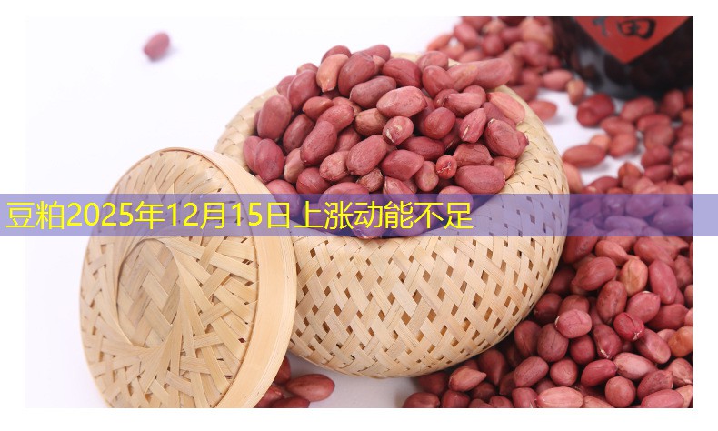 豆粕2025年12月15日上涨动能不足