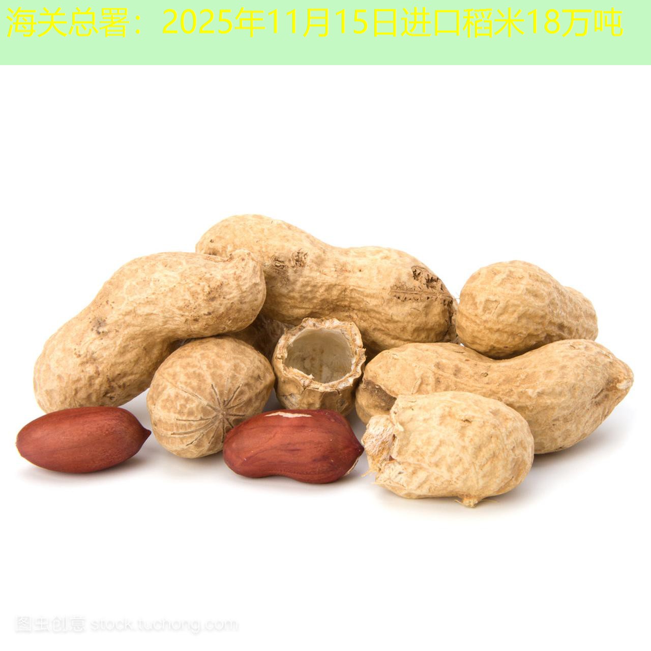 海关总署：2025年11月15日进口稻米18万吨