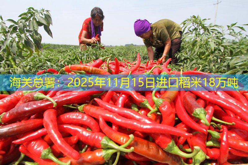 海关总署：2025年11月15日进口稻米18万吨