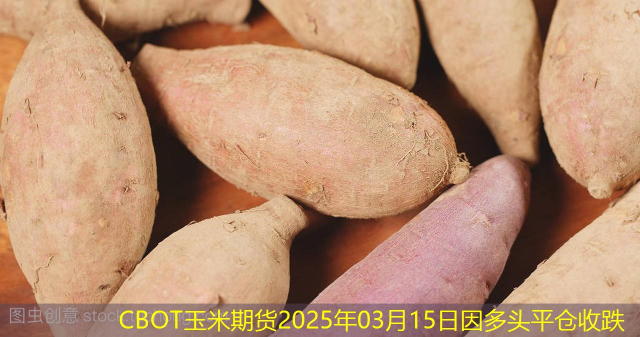 CBOT玉米期货2025年03月15日因多头平仓收跌