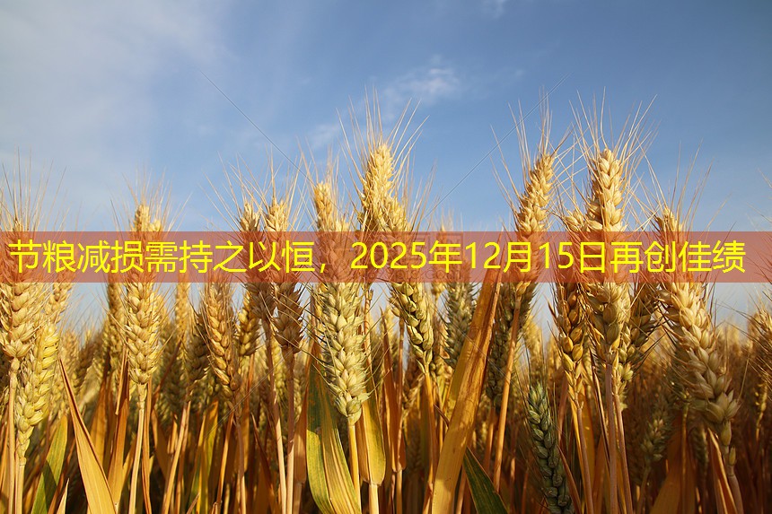 节粮减损需持之以恒，2025年12月15日再创佳绩