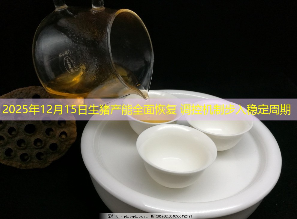 2025年12月15日生猪产能全面恢复 调控机制步入稳定周期