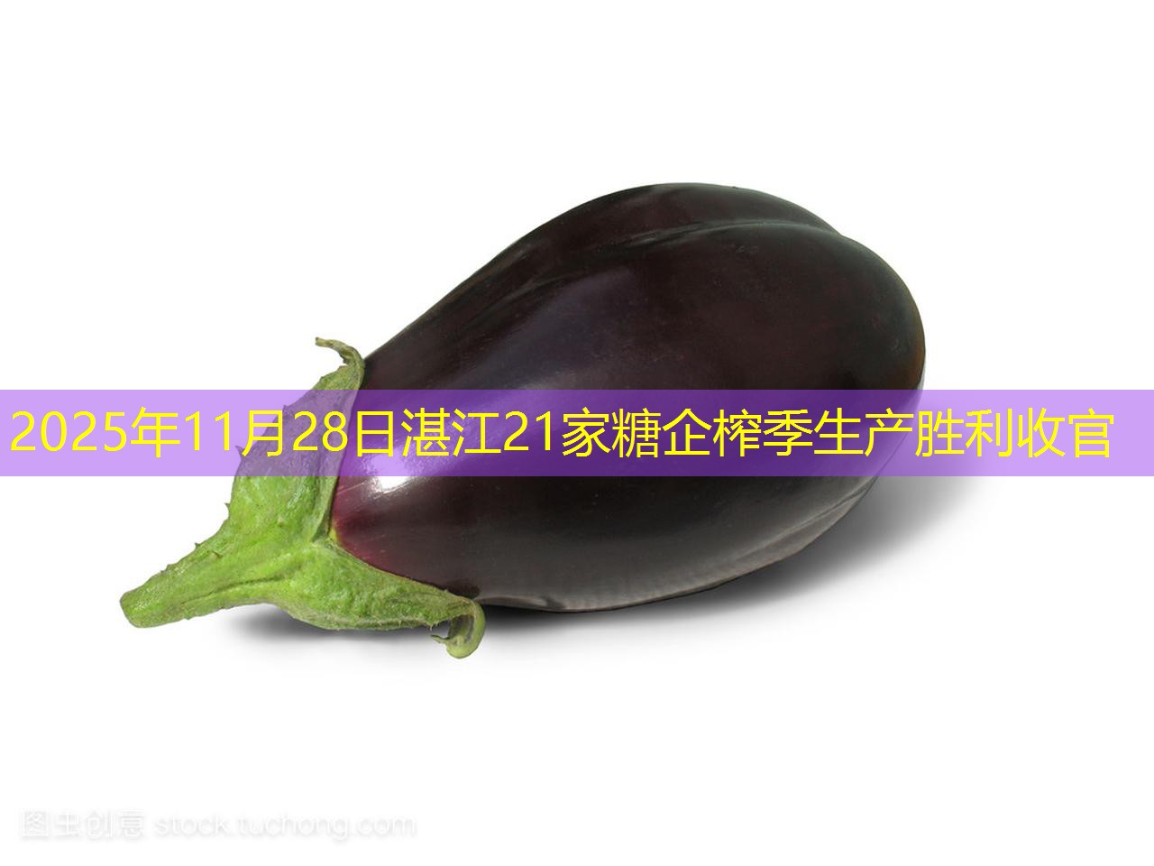 2025年11月28日湛江21家糖企榨季生产胜利收官