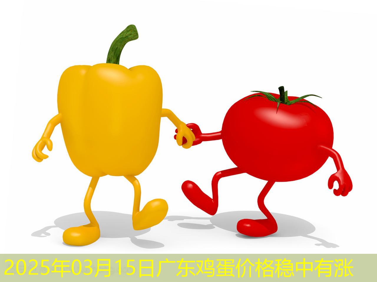 2025年03月15日广东鸡蛋价格稳中有涨
