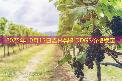 2025年10月15日吉林梨树DDGS价格稳定