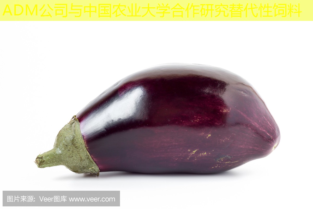 ADM公司与中国农业大学合作研究替代性饲料