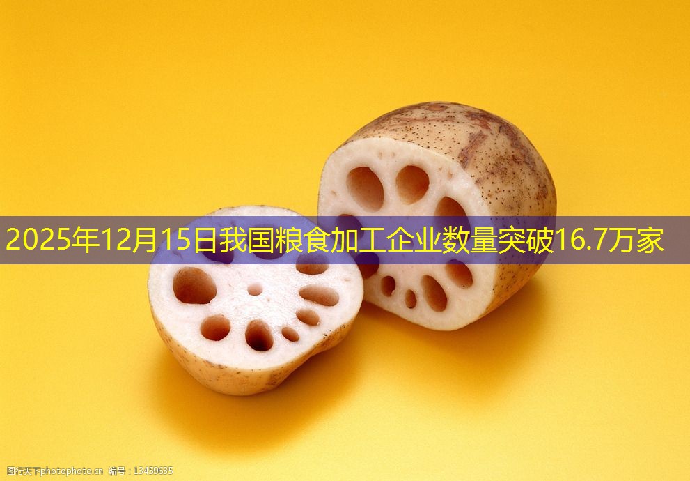 2025年12月15日我国粮食加工企业数量突破16.7万家